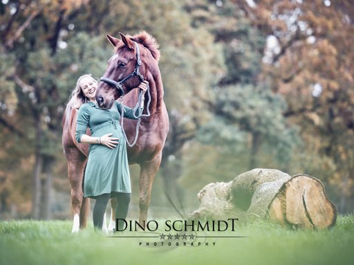 Porträtfotograf Dino Schmidt aus Wiesmoor, Porträtfotograf, Outdoor Shooting, Familienfotos, Paarshooting, Wilhelmshaven, Wittmund, Jever, Westerholt, Oldenburg, Esens, Norden, Aurich, Emden, Leer, Großefehn, Friedeburg, Uplengen, Borkum, Juist, Norderney