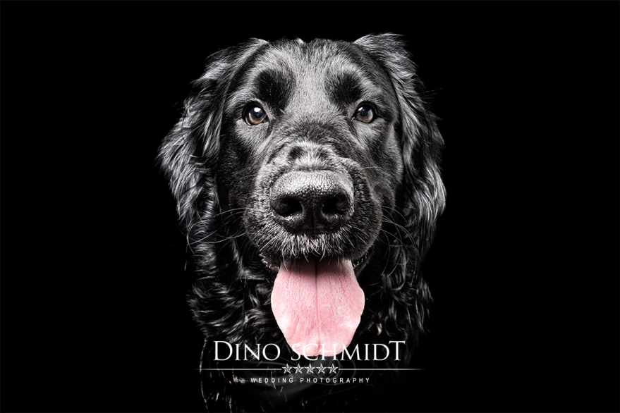 Dino Schmidt, Hochzeitsfotograf, Hochzeitsreportage, Wilhelmshaven, Wittmund, Jever, Westerholt, Oldenburg, Bremen, Hamburg, Esens, Norden, Aurich, Emden, Leer, Wiesmoor, Großefehn, Friedeburg, Remels, Borkum, Juist, Norderney, Osnabrück, Norddeutschland