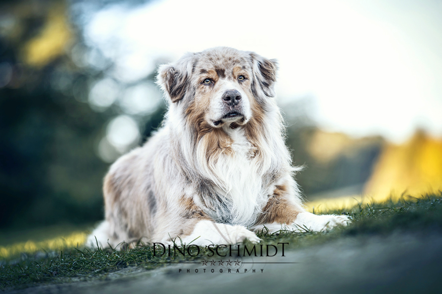 Dino Schmidt, Hochzeitsfotograf, Hochzeitsreportage, Wilhelmshaven, Wittmund, Jever, Westerholt, Oldenburg, Bremen, Hamburg, Esens, Norden, Aurich, Emden, Leer, Wiesmoor, Großefehn, Friedeburg, Remels, Borkum, Juist, Norderney, Osnabrück, Norddeutschland