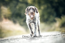 Dino Schmidt, Hochzeitsfotograf, Hochzeitsreportage, Wilhelmshaven, Wittmund, Jever, Westerholt, Oldenburg, Bremen, Hamburg, Esens, Norden, Aurich, Emden, Leer, Wiesmoor, Großefehn, Friedeburg, Remels, Borkum, Juist, Norderney, Osnabrück, Norddeutschland
