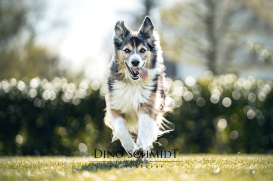 Dino Schmidt, Hochzeitsfotograf, Hochzeitsreportage, Wilhelmshaven, Wittmund, Jever, Westerholt, Oldenburg, Bremen, Hamburg, Esens, Norden, Aurich, Emden, Leer, Wiesmoor, Großefehn, Friedeburg, Remels, Borkum, Juist, Norderney, Osnabrück, Norddeutschland