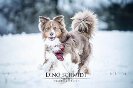 Dino Schmidt, Hochzeitsfotograf, Hochzeitsreportage, Wilhelmshaven, Wittmund, Jever, Westerholt, Oldenburg, Bremen, Hamburg, Esens, Norden, Aurich, Emden, Leer, Wiesmoor, Großefehn, Friedeburg, Remels, Borkum, Juist, Norderney, Osnabrück, Norddeutschland