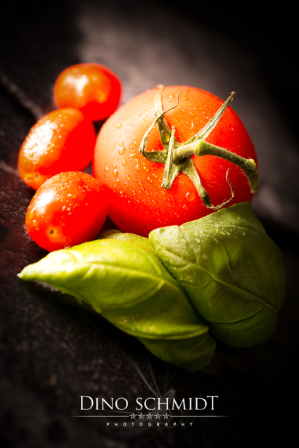 Landschaftsfotograf und Naturfotograf Dino Schmidt aus Wiesmoor, Landschaftsfotografie, Naturfotografie, Wilhelmshaven, Wittmund, Jever, Westerholt, Oldenburg, Esens, Norden, Aurich, Emden, Leer, Großefehn, Friedeburg, Uplengen, Borkum, Juist, Norderney, 