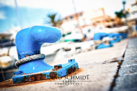 Landschaftsfotograf und Naturfotograf Dino Schmidt aus Wiesmoor, Landschaftsfotografie, Naturfotografie, Wilhelmshaven, Wittmund, Jever, Westerholt, Oldenburg, Esens, Norden, Aurich, Emden, Leer, Großefehn, Friedeburg, Uplengen, Borkum, Juist, Norderney, 