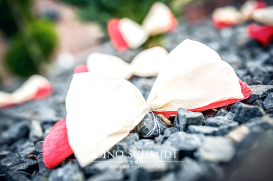 Hochzeitsfotograf Dino Schmidt aus Wiesmoor, Hochzeitsfotos, Hochzeitsfotografie, Hochzeitsreportage, Standesamt, Trauung, Wilhelmshaven, Wittmund, Jever, Westerholt, Oldenburg, Esens, Norden, Aurich, Emden, Leer, Großefehn, Friedeburg, Uplengen, Borkum, 