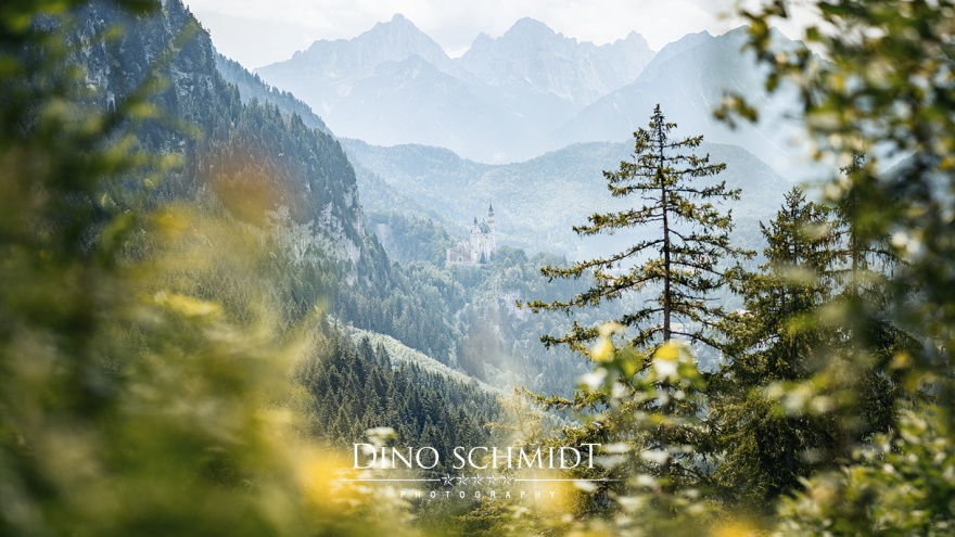 Landschaftsfotograf und Naturfotograf Dino Schmidt aus Wiesmoor, Landschaftsfotografie, Naturfotografie, Wilhelmshaven, Wittmund, Jever, Westerholt, Oldenburg, Esens, Norden, Aurich, Emden, Leer, Großefehn, Friedeburg, Uplengen, Borkum, Juist, Norderney, 